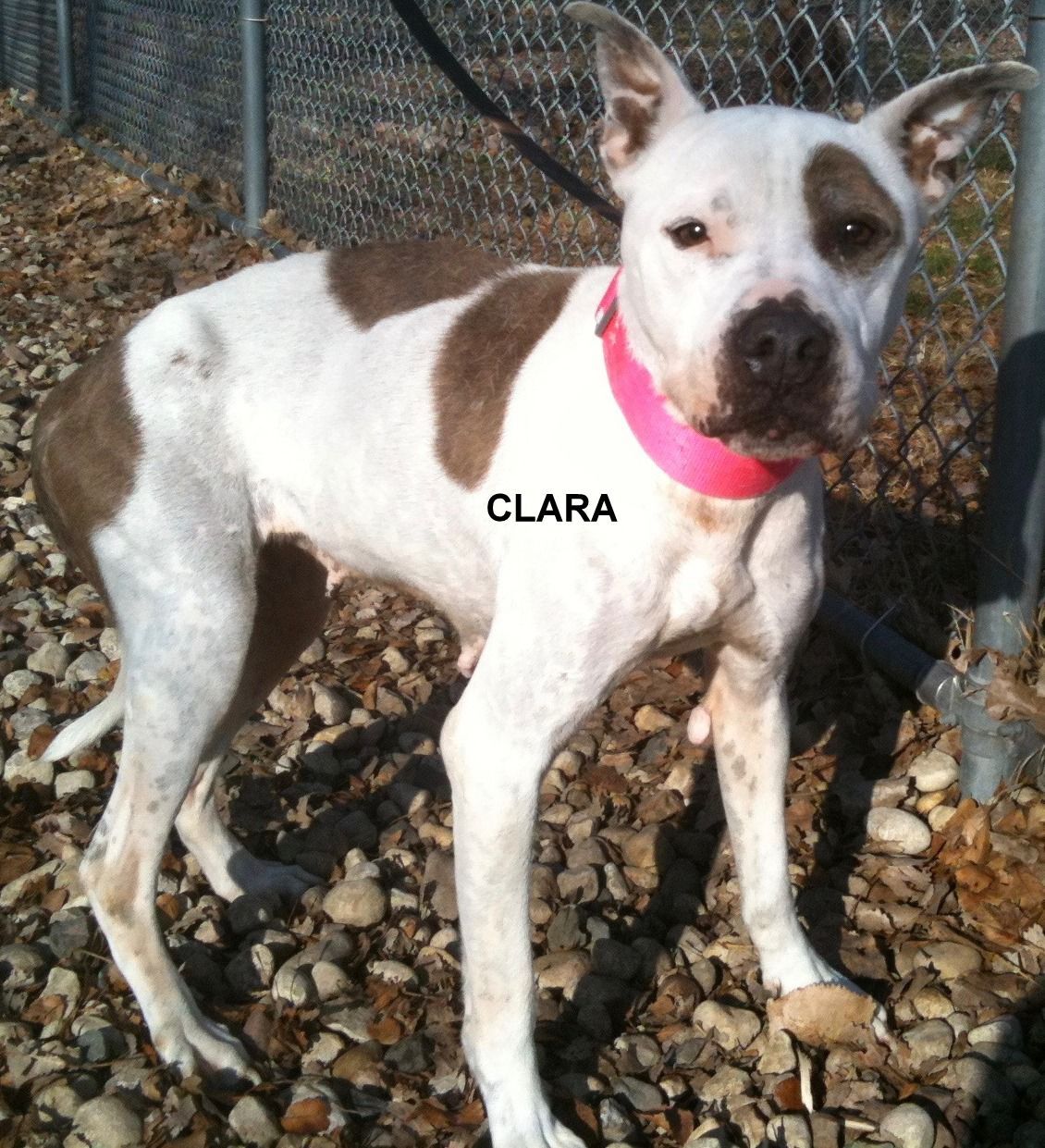 Clara